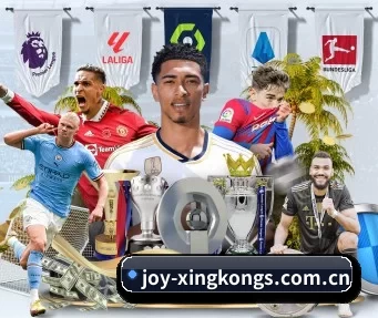 joy-xingkongs.com.cn APP
